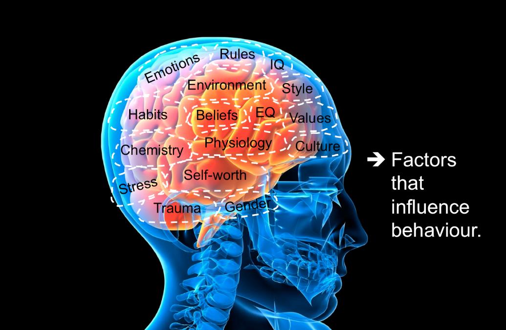 Leadership Personality Style Profiles